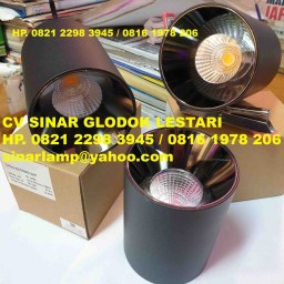 LED Downlight Outbow COB 12W Beam Angle 24°